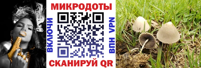 Псилоцибиновые грибы GOLDEN TEACHER  Купить закладки  Лабинск 